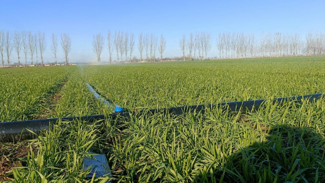 a39d12a64256484560b7e2d25d1cf5c