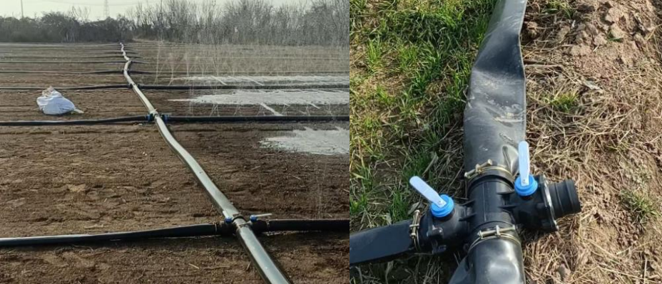 377d51b5a0575352c2584005582c019