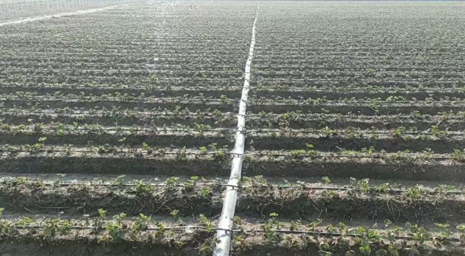 059e5af78d43640af7463d1862912e5