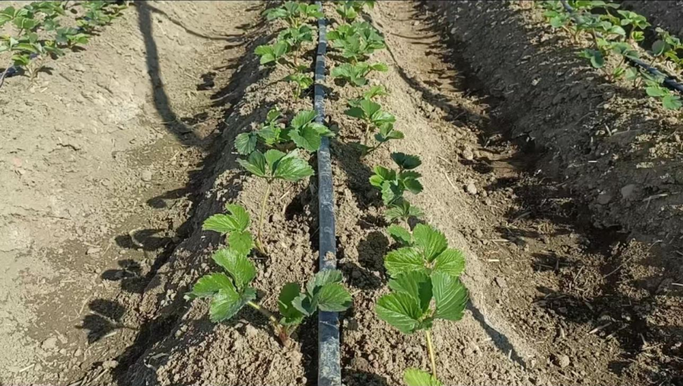 928d58c0134b9908caa1d858fbcf44a